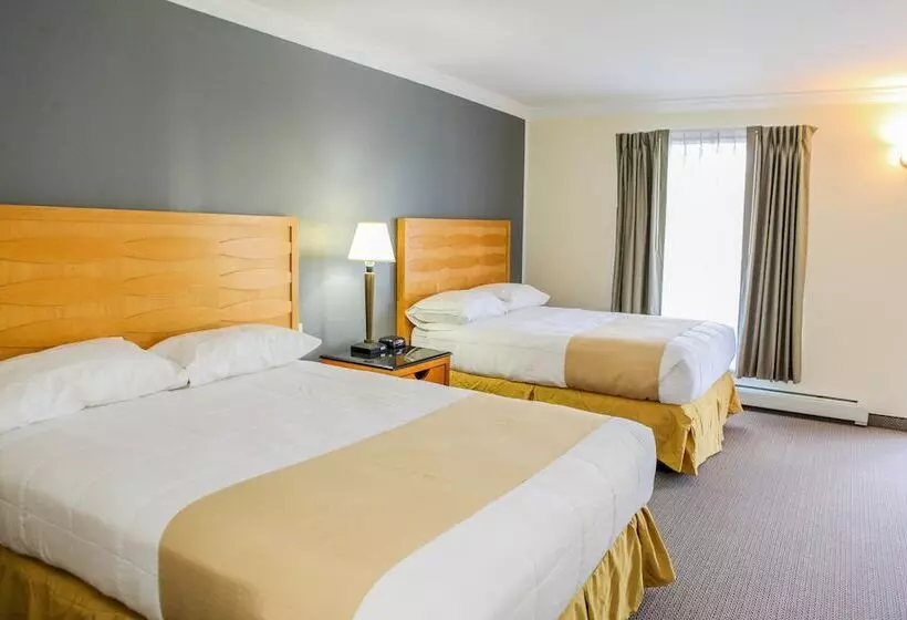 اتاق استاندارد با 2 تخت دوبل, Moonlight Inn