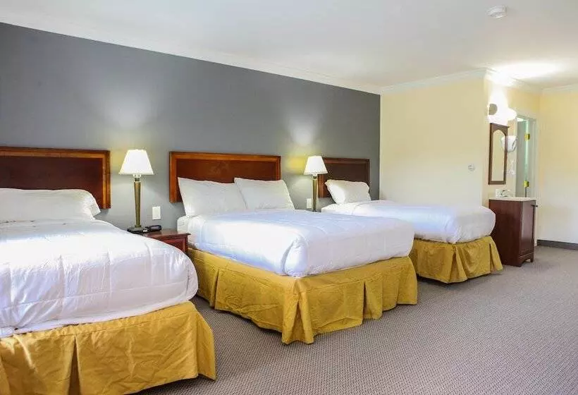 اتاق استاندارد, Moonlight Inn