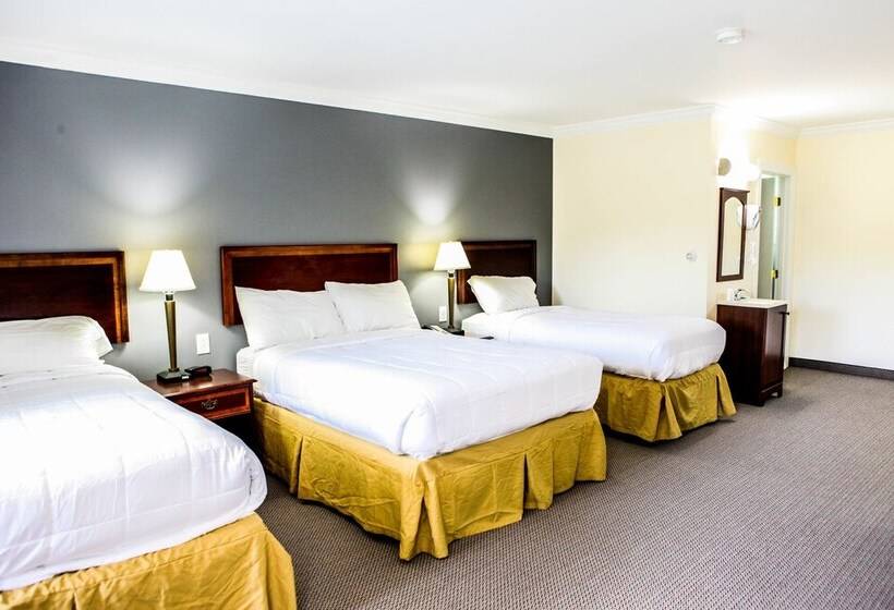 スタンダードルーム, Moonlight Inn