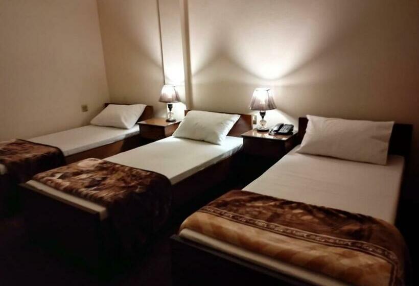 اتاق لوکس سه تخته, Canal View