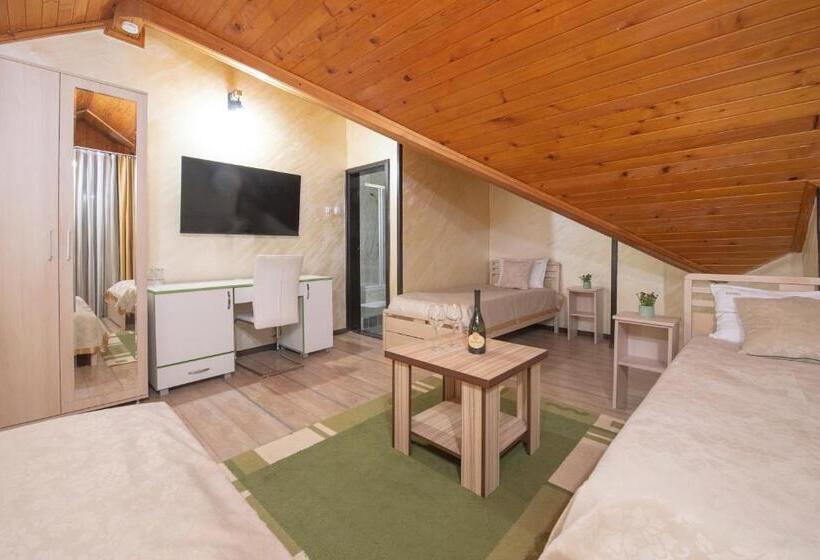 اتاق استاندارد, Club Satelit Zlatibor