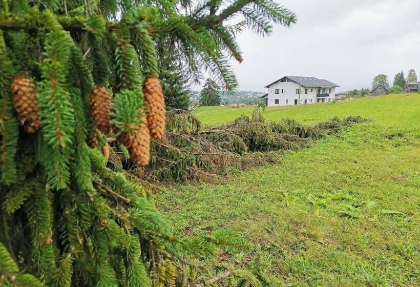 וילה דלוקס חדר שינה 1, Vila Dorna Royal