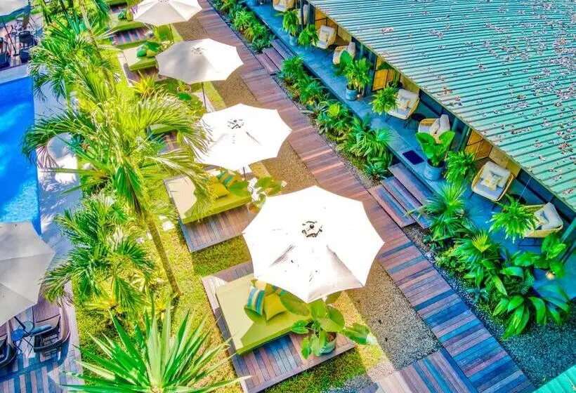 スイート, Exôtico Beach & Rooms