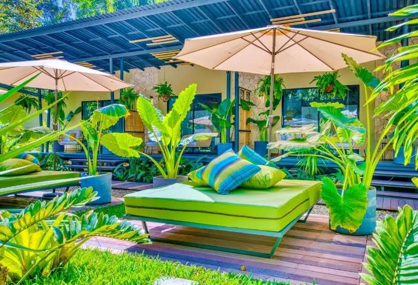 スイート, Exôtico Beach & Rooms