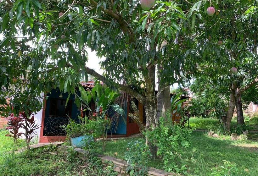 חדר סופריור, Pousada E Camping Lumiar