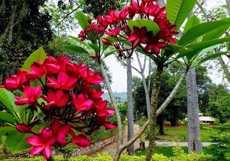 חדר סטנדרט פנימי, Pousada E Camping Lumiar