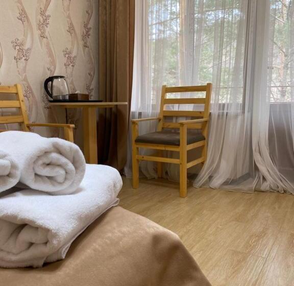 スタンダードルーム, Kompozitor Hotel Dilijan