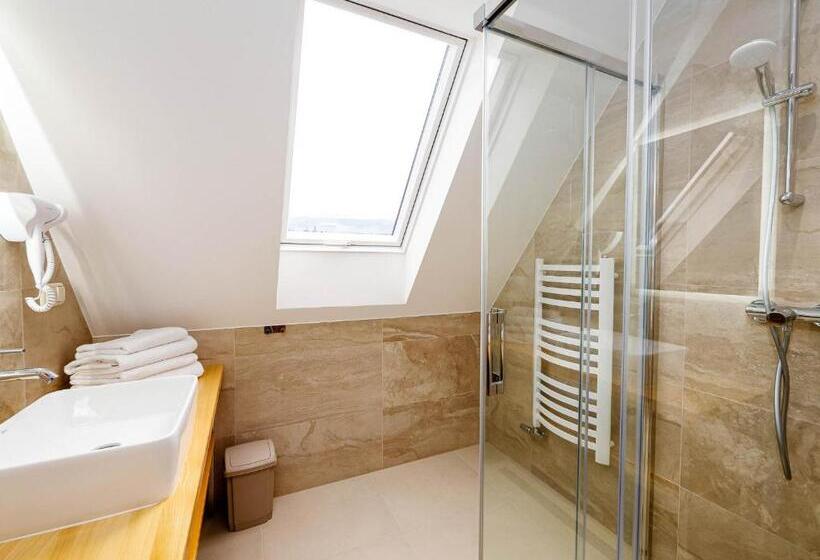 장애인을 위한 스탠다드 룸, Villa Taternik By Golden Apartments