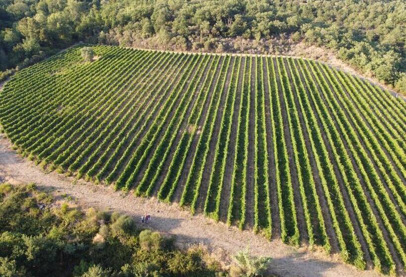 带1个卧室的高级公寓, Pilari Appartamento Stalla