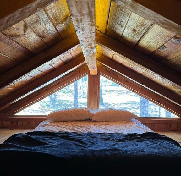 ジュニアスイート, Pine Tree Mazamitla Hotel Boutique & Cabañas