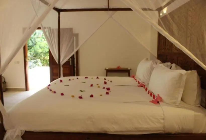 اتاق لوکس با چشم‌انداز دریا, Kivuli Beach Resort Paje