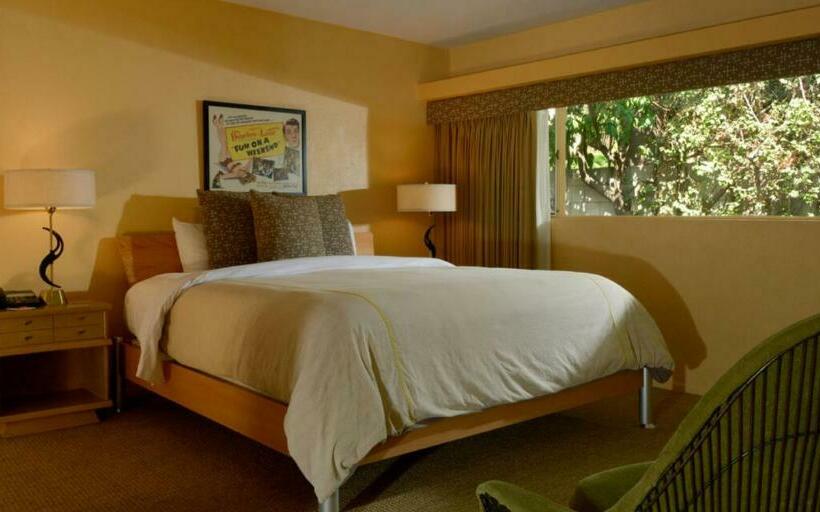 اتاق استاندارد با تخت بزرگ, Orbit In 21 And Over