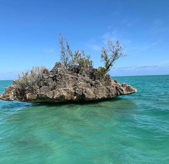 اتاق لوکس با چشمانداز دریا, Résidence Au Bout Du Morne