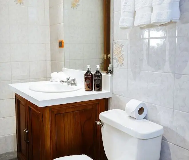 デラックスルーム, Uzhupud Garden Hotel & Lodge