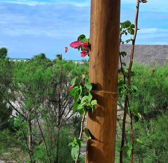 בקתה סטנדרטית עם נוף לים, Beekite Wind Village