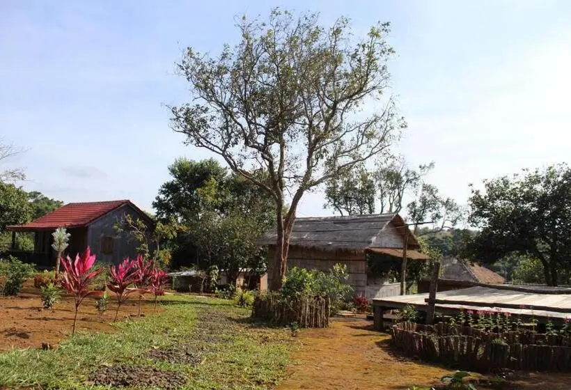 Standard Tent, La Villa Hortensia Mondulkiri