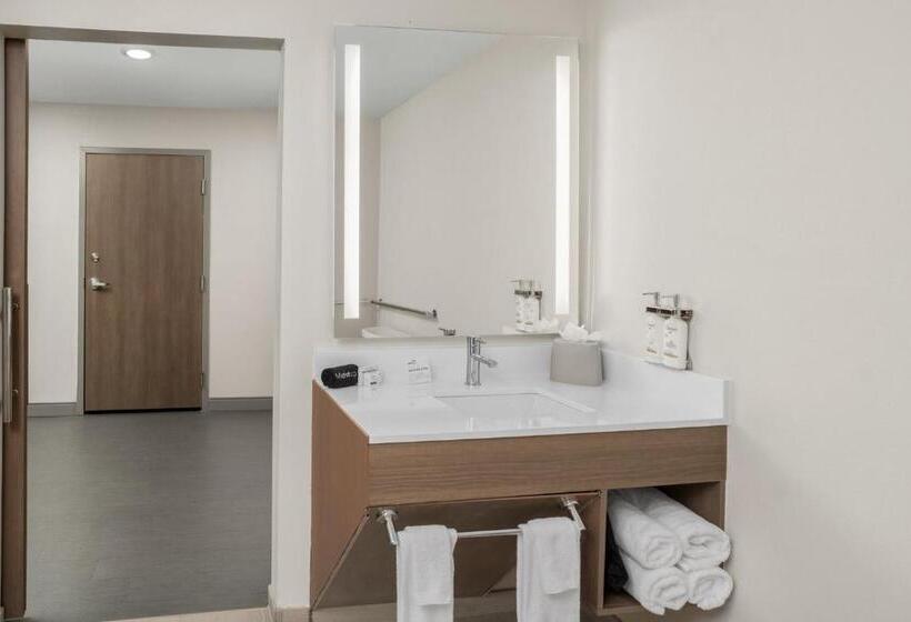 带特大床的标准间, Holiday Inn Express Hattiesburg West Univ Area