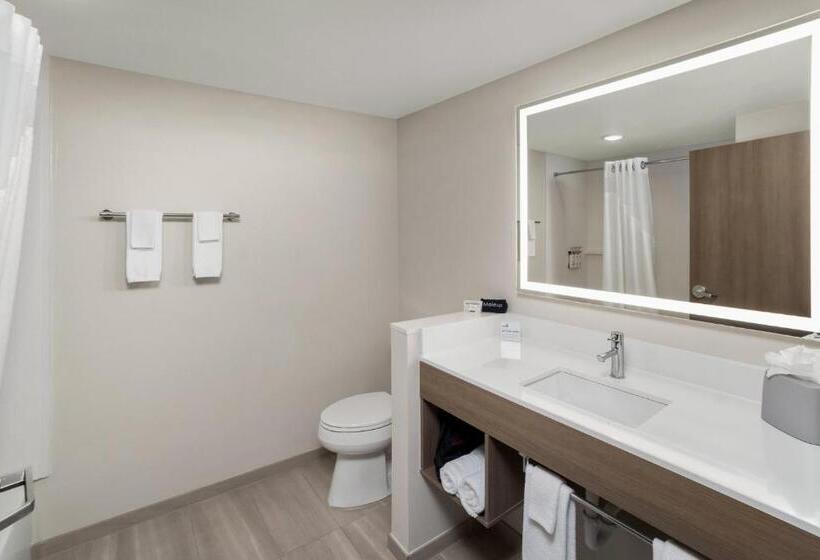 带特大床的标准间, Holiday Inn Express Hattiesburg West Univ Area