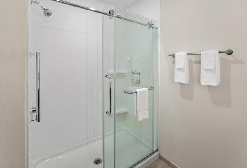Стандартный Номер Кровать Кинг, Holiday Inn Express Hattiesburg West Univ Area