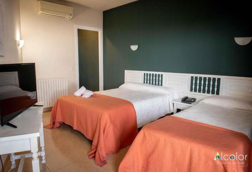 חדר סטנדרט, Bruc