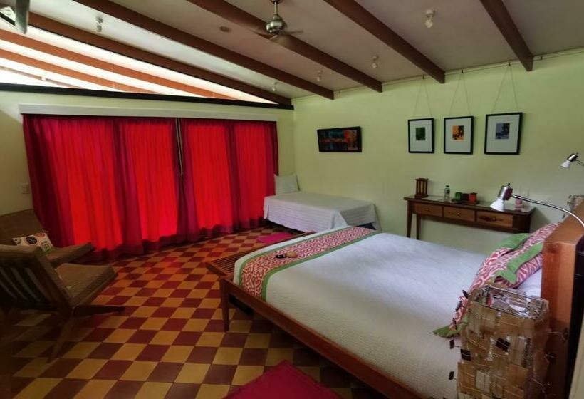 جناح ديلوكس, Chirripo Art