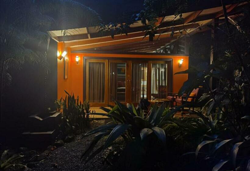 جناح ديلوكس, Chirripo Art