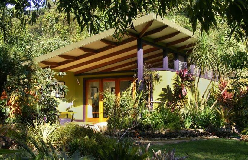 جناح مطلّ علي الحديقة, Chirripo Art