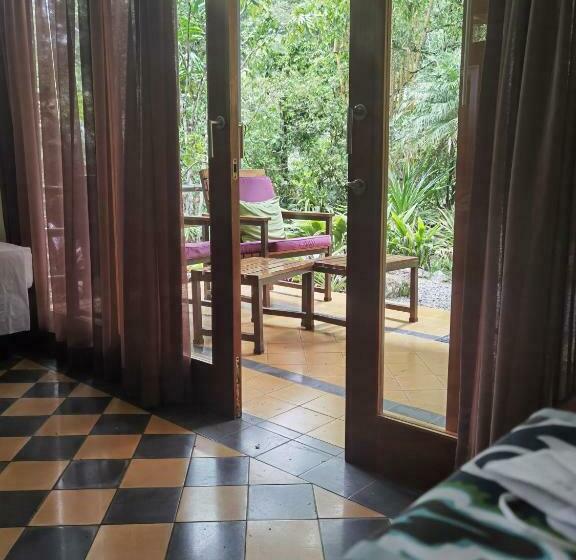 جناح مطلّ علي الحديقة, Chirripo Art