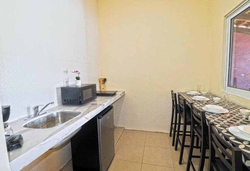 جناح, Punta Palmeras