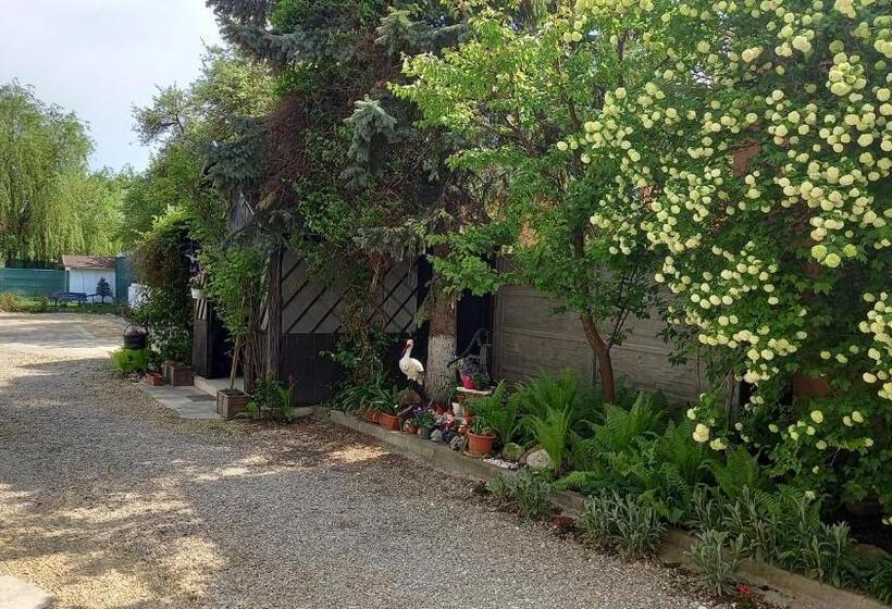 חדר סטנדרט עם מרפסת, Casa Danei