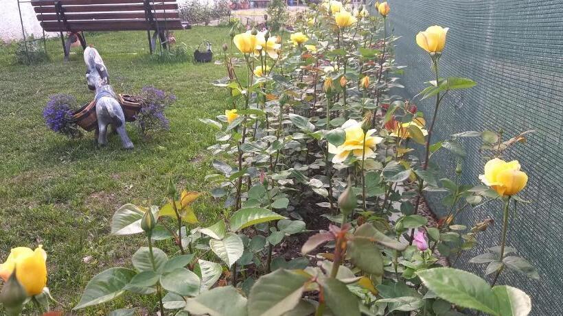 חדר סטנדרט עם מרפסת, Casa Danei