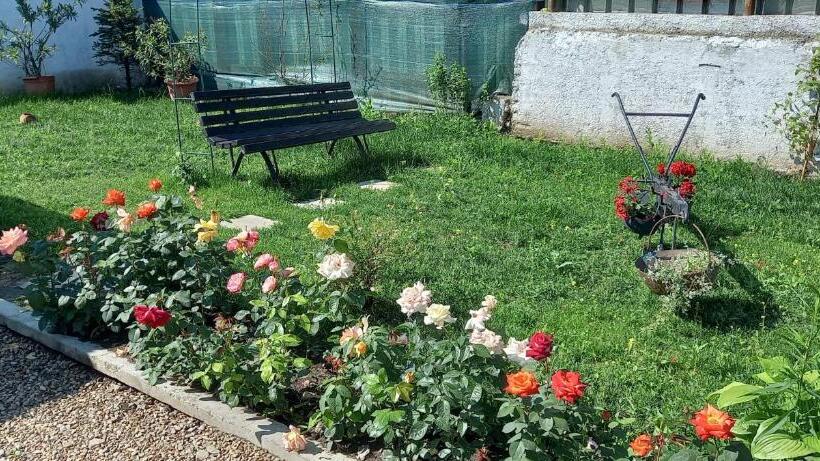 חדר סטנדרט עם מרפסת, Casa Danei