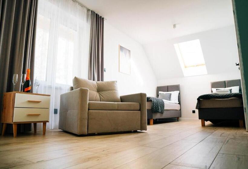 带阳台的豪华间, The View