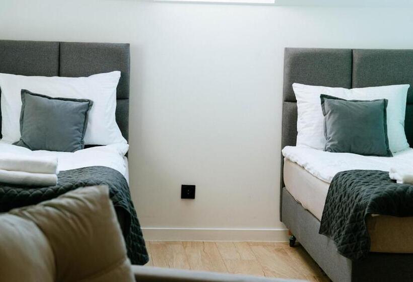 带阳台的豪华间, The View