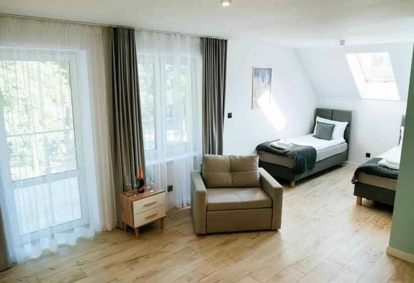 带阳台的豪华间, The View