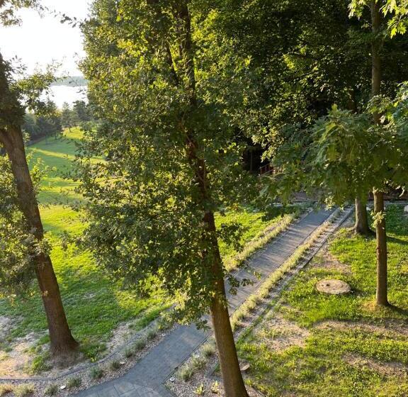 小型套房带阳台, The View