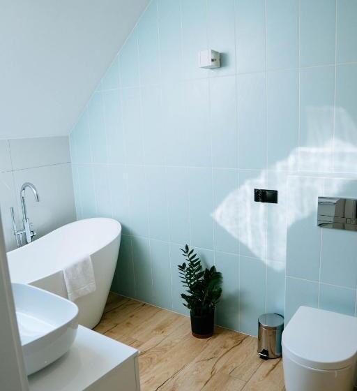 带阳台的豪华间, The View