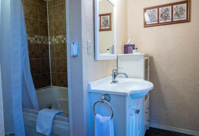 اتاق لوکس یک تخته, 5 Ojo Inn Bed And Breakfast