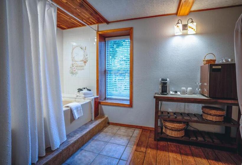 اتاق استاندارد یک نفره, 5 Ojo Inn Bed And Breakfast