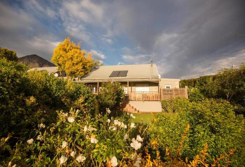 سوییت لوکس, Angala