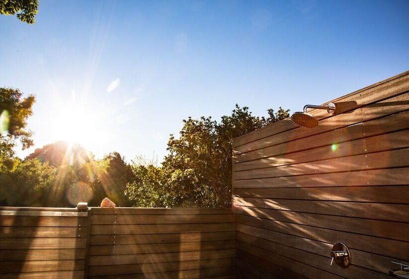 اتاق لوکس, Angala