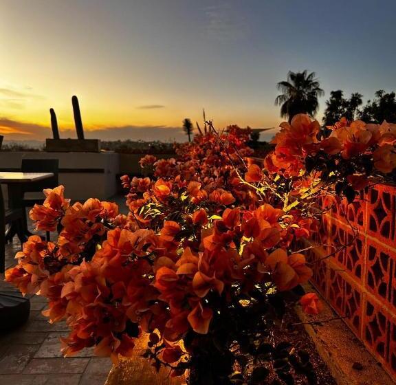 带按摩浴盆的套房, Bito S Hotel Boutique