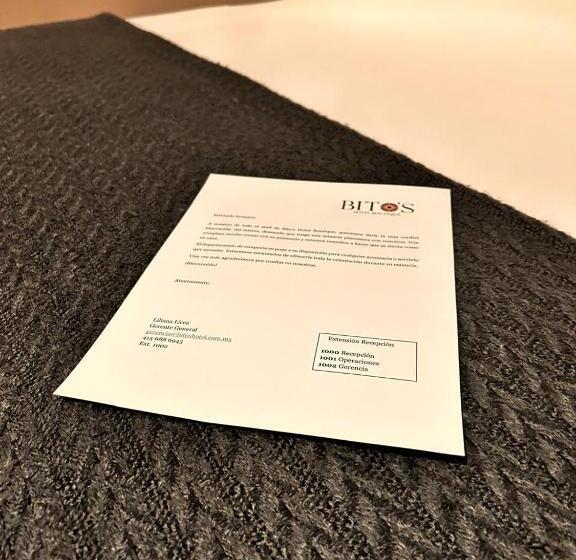 带园景的小型套房, Bito S Hotel Boutique