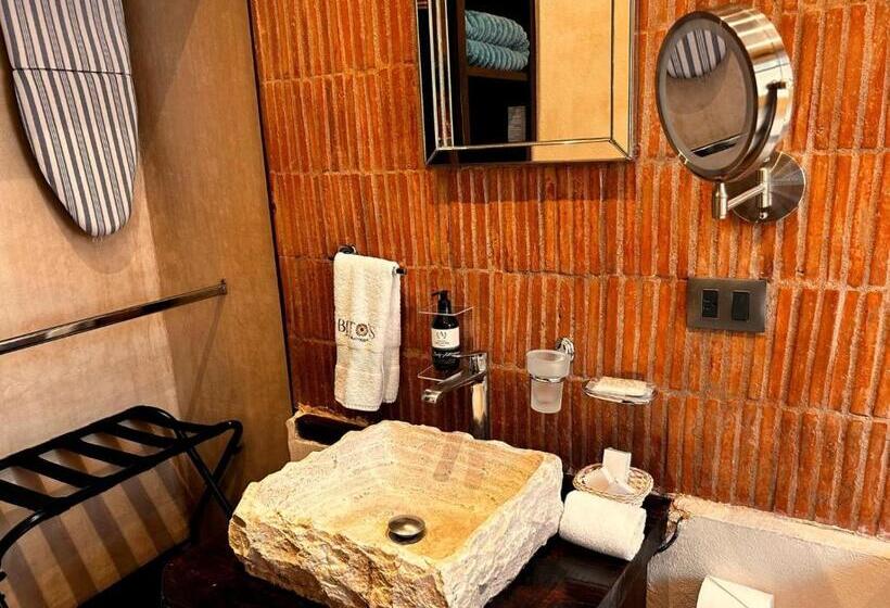 带园景的小型套房, Bito S Hotel Boutique