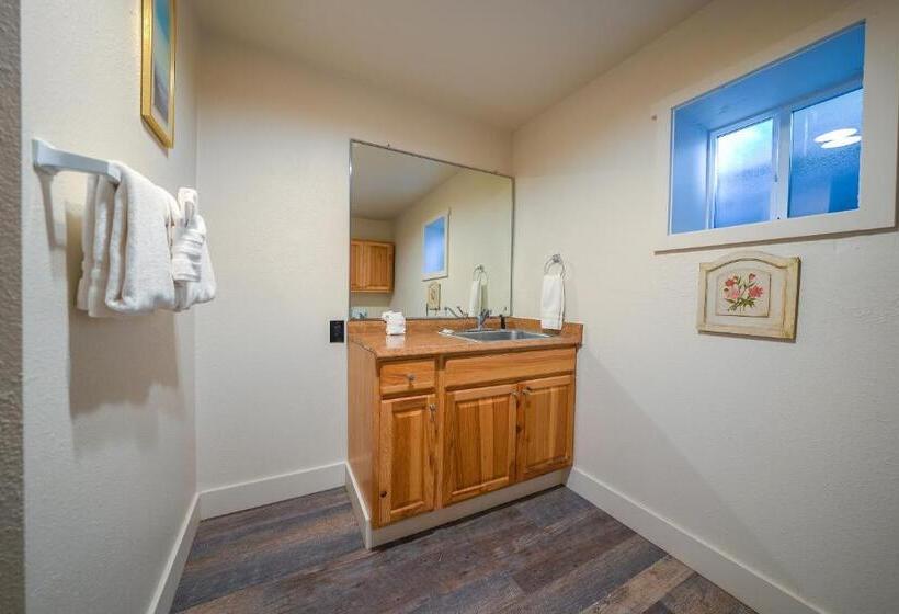 带2个双人床的标准工作室, City Centre Motel By Oyo