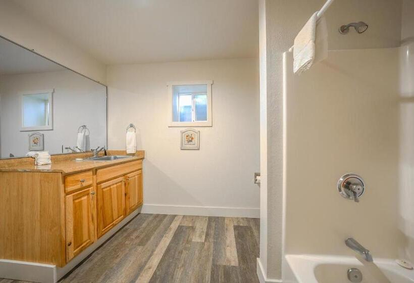 带2个双人床的标准工作室, City Centre Motel By Oyo