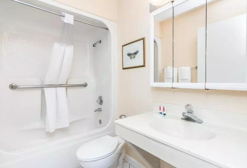 ビュー有りのスタンダードワンルーム, Days Inn & Suites By Wyndham Lake Okeechobee