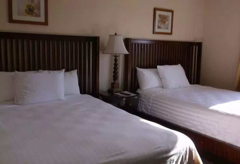 スタンダードルーム, Days Inn & Suites By Wyndham Lake Okeechobee