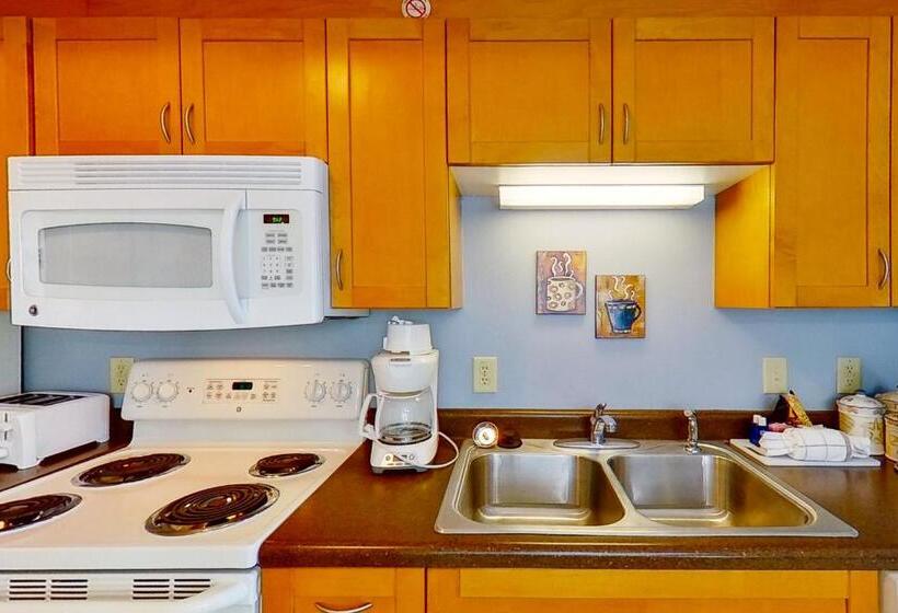 带1个卧室的公寓, Harbourgate Marina Club