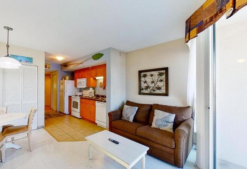 带1个卧室的公寓, Harbourgate Marina Club